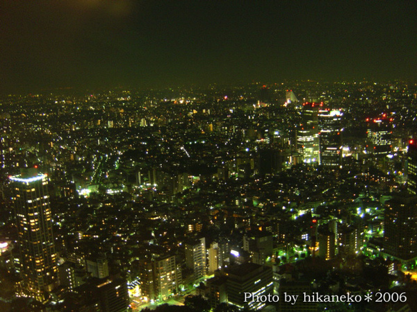 DSC01616新宿都廳45樓夜景2.jpg