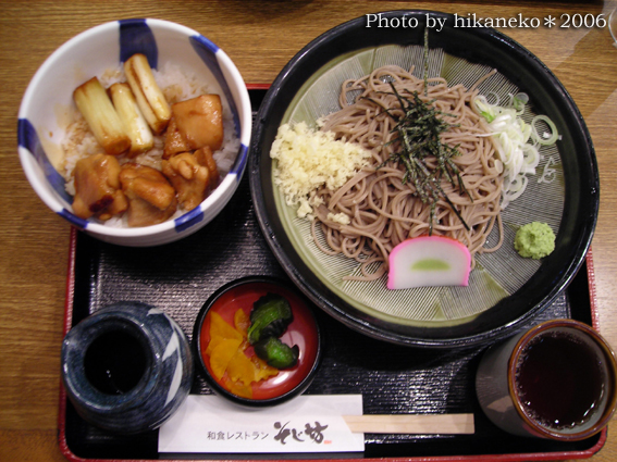 DSCN7841機場的烤雞丼與蕎麥麵套餐.jpg