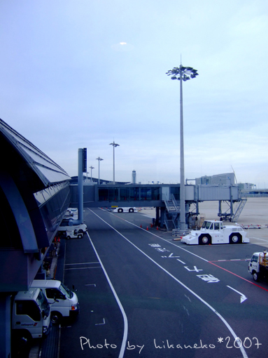 2007_1130022_関西空港へようこそ！.JPG