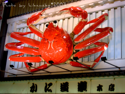 2007_1130076道頓堀‧著名的大螃蟹招牌也出現了.JPG 2007_1130076道頓堀‧著名的大螃蟹招牌也出現了.JPG
