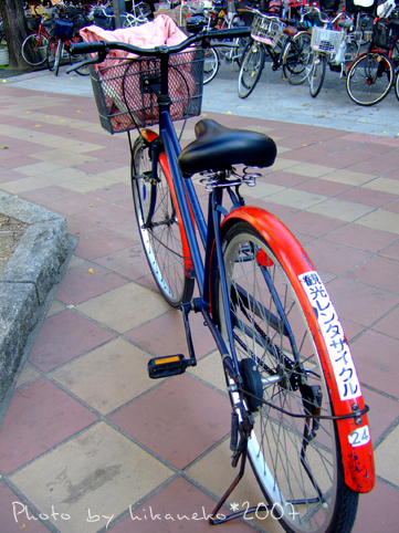 2007_11300149今天一起陪我逛街的24號腳踏車.JPG 2007_11300149今天一起陪我逛街的24號腳踏車.JPG