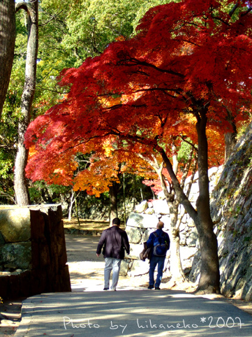 2007_11300253前面兩位大叔邊走邊悠閒的聊.JPG 2007_11300253前面兩位大叔邊走邊悠閒的聊.JPG