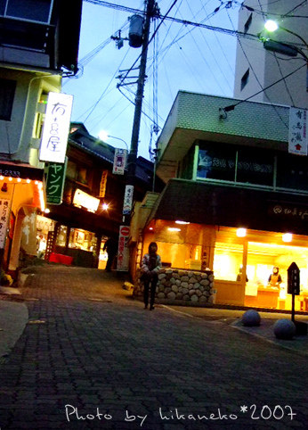 2007_1201051_湯本坂‧入夜了也,開始飄起小雨.JPG 2007_1201051_湯本坂‧入夜了也,開始飄起小雨.JPG