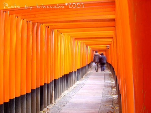 2007_1202046_稻荷神社‧有種一直在原地走的感覺....JPG 2007_1202046_稻荷神社‧有種一直在原地走的感覺....JPG