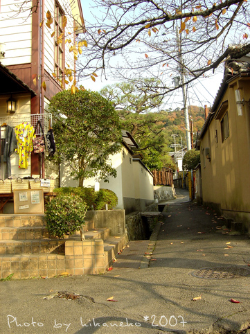 2007_1202072_哲學之道‧好羨慕住在這條河旁邊的人哪！.JPG