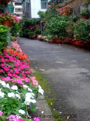 2008324.jpg 2008324.jpg