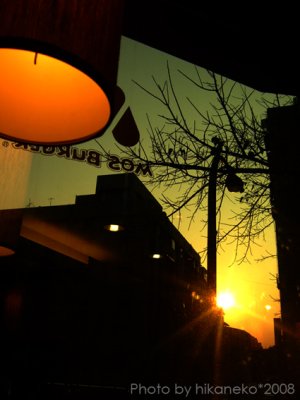 2008229.jpg 2008229.jpg