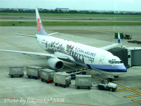 DSCF2219_連機身都種滿薰衣草的CI 131.jpg DSCF2219_連機身都種滿薰衣草的CI 131.jpg