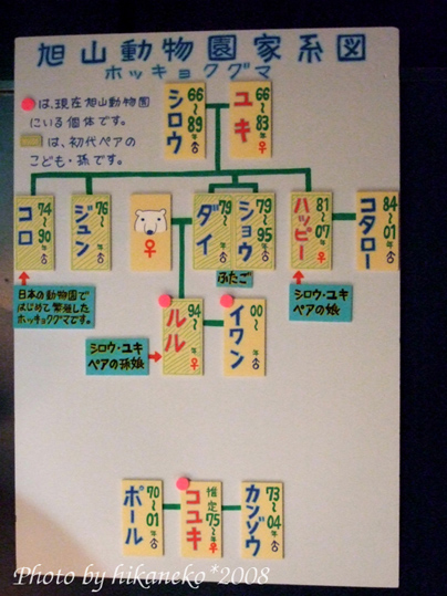 DSCF2473_北極熊們也有族譜（現在園區有：露露、伊旺及小雪三隻）.jpg