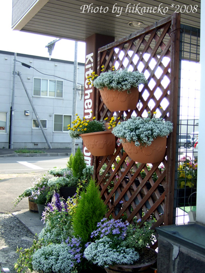 DSCF2635_美瑛街道‧花店.jpg DSCF2635_美瑛街道‧花店.jpg