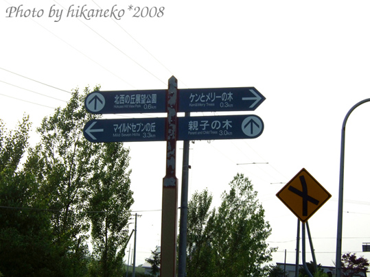 DSCF2661_貼布之路‧離「肯&瑪麗之木」還有300公尺,加油!.jpg DSCF2661_貼布之路‧離「肯&瑪麗之木」還有300公尺,加油!.jpg