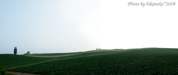DSCF2688_貼布之路‧「肯&瑪麗之木」全景.jpg DSCF2688_貼布之路‧「肯&瑪麗之木」全景.jpg