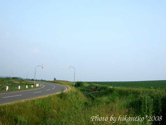 DSCF2707_貼布之路‧往「親子之木」路上.jpg DSCF2707_貼布之路‧往「親子之木」路上.jpg