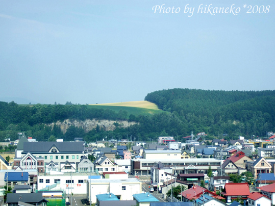 DSCF2829_從四季之塔俯看市區4.jpg DSCF2829_從四季之塔俯看市區4.jpg