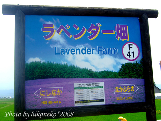 DSCF2872_只會在夏秋季停靠的薰衣草田站.jpg DSCF2872_只會在夏秋季停靠的薰衣草田站.jpg