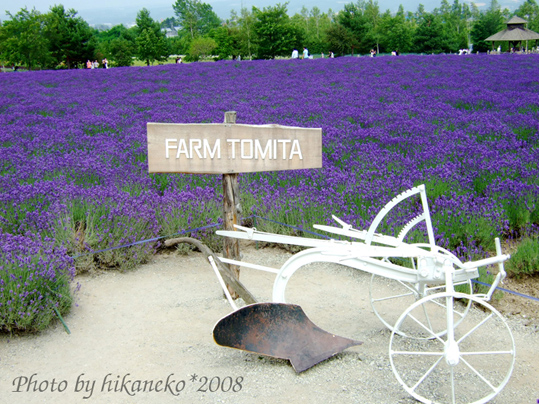 DSCF3025_富田農場‧倖之田3.jpg DSCF3025_富田農場‧倖之田3.jpg