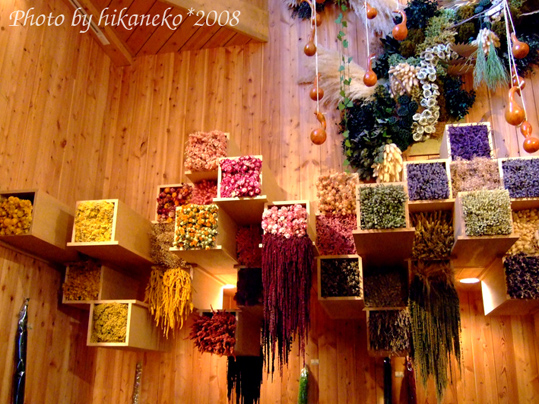 DSCF3040花人之舍4.jpg DSCF3040花人之舍4.jpg