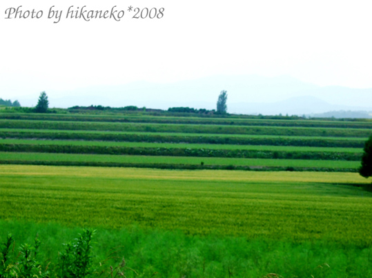 DSCF3060_景觀之路3.jpg DSCF3060_景觀之路3.jpg
