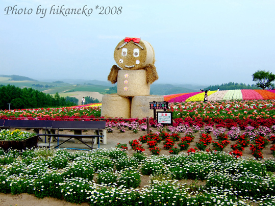 DSCF3074‧稻草輪妹妹.jpg DSCF3074‧稻草輪妹妹.jpg