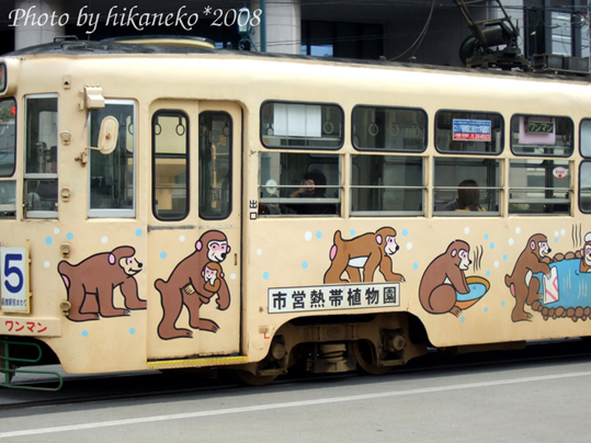 DSCF3864_猴子市電,臭bi很愛.jpg DSCF3864_猴子市電,臭bi很愛.jpg