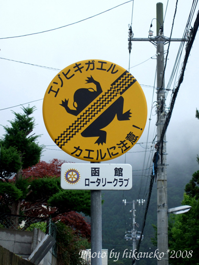 DSCF4139_青蛙出沒注意.jpg DSCF4139_青蛙出沒注意.jpg