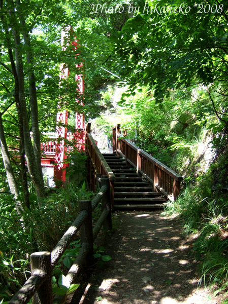 DSCF4262_往二見吊橋路上.jpg DSCF4262_往二見吊橋路上.jpg
