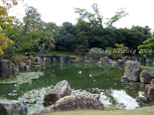 DSCF5158__二之丸庭園‧四周種了許多棵櫻花樹,春天來會更有看頭。.jpg DSCF5158__二之丸庭園‧四周種了許多棵櫻花樹,春天來會更有看頭。.jpg