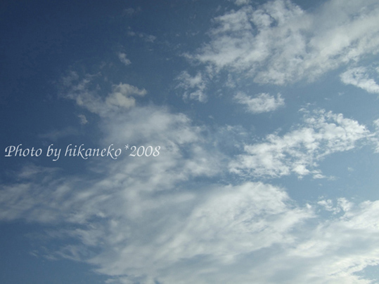 DSCF5180_約莫下午4點,從二條城仰望的天空.jpg DSCF5180_約莫下午4點,從二條城仰望的天空.jpg