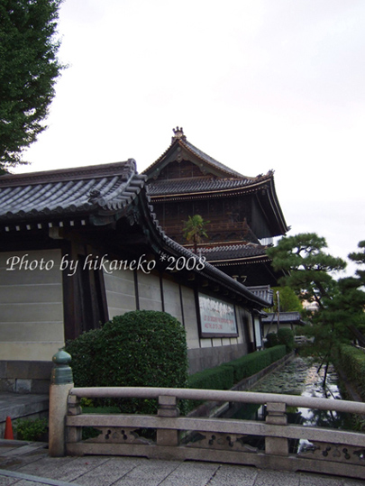 DSCF5215_側門旁的小河上種了不少睡蓮.jpg DSCF5215_側門旁的小河上種了不少睡蓮.jpg