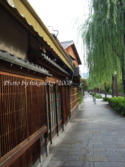 DSCF5344_祇園‧沿著白川南通再走回來吧.jpg DSCF5344_祇園‧沿著白川南通再走回來吧.jpg