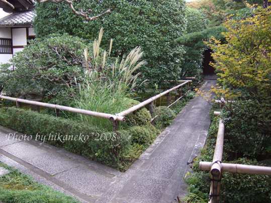 DSCF5386_花見小路‧某戶人家的院子.jpg DSCF5386_花見小路‧某戶人家的院子.jpg