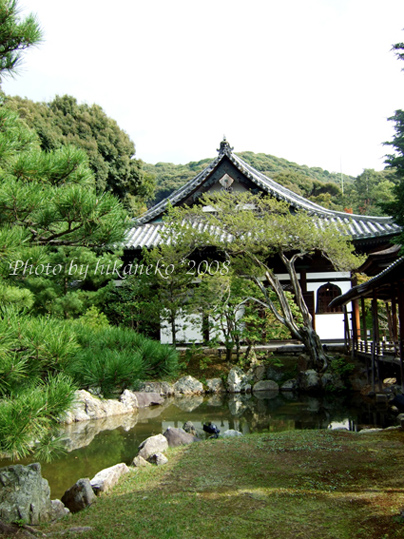 DSCF5551_高台寺‧開山堂.jpg