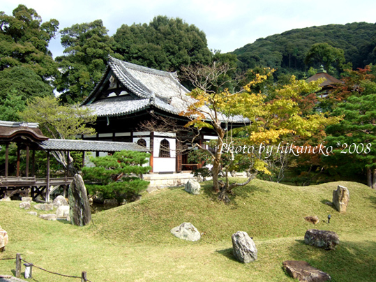 DSCF5557_高台寺‧方丈前的庭園，可惜還沒有紅葉，勉強幾棵黃葉可看.jpg