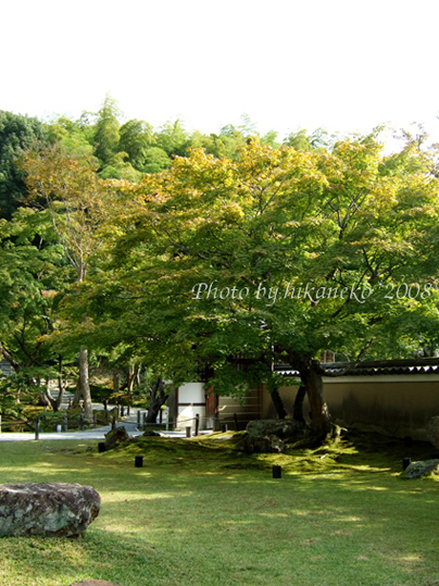 DSCF5562_高台寺‧另一邊的庭院.jpg