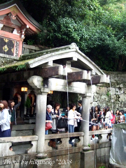 DSCF5722_排隊等喝水中.jpg DSCF5722_排隊等喝水中.jpg
