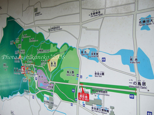 DSCF5795_現在在表參道前面,就已經有兜售鹿仙貝的攤販了.jpg DSCF5795_現在在表參道前面,就已經有兜售鹿仙貝的攤販了.jpg