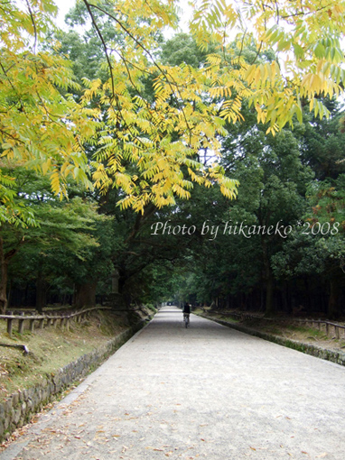 DSCF5800_春日大社‧表參道.jpg DSCF5800_春日大社‧表參道.jpg
