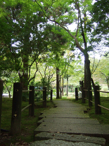 DSCF5812_聞得到樹葉和青苔的香味.jpg DSCF5812_聞得到樹葉和青苔的香味.jpg