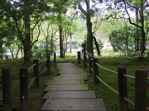 DSCF5813_神苑面積不小。逛很久,總覺得會走不出去.jpg DSCF5813_神苑面積不小。逛很久,總覺得會走不出去.jpg