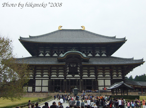 DSCF5853_東大寺‧大佛殿2。人超多，也是世界遺產之一.jpg