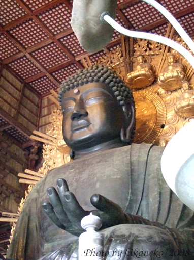 DSCF5866_毘盧遮那佛‧據說重量有380噸.jpg DSCF5866_毘盧遮那佛‧據說重量有380噸.jpg