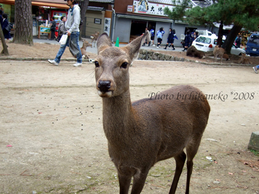 DSCF5892_正在休息吃烤地瓜的時候‧‧‧.jpg DSCF5892_正在休息吃烤地瓜的時候‧‧‧.jpg