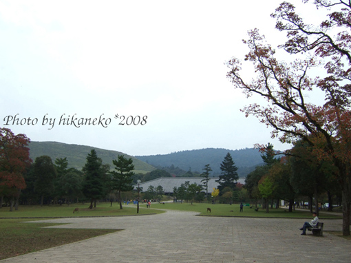 DSCF5898_奈良公園‧對面的山應該就是若草山(左)和春日山原始林.jpg