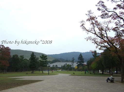 DSCF5898_奈良公園‧對面的山應該就是若草山(左)和春日山原始林.jpg DSCF5898_奈良公園‧對面的山應該就是若草山(左)和春日山原始林.jpg