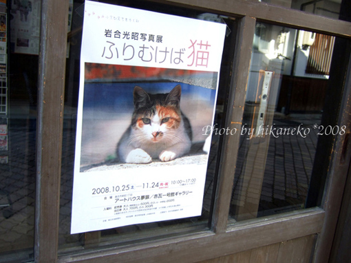 DSCF6092_不會吧?遇到岩合光昭在這邊的攝影展呢!運氣真好.jpg DSCF6092_不會吧?遇到岩合光昭在這邊的攝影展呢!運氣真好.jpg