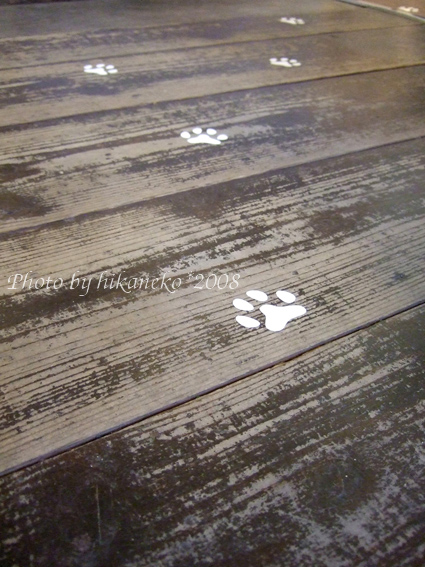 DSCF6094_徵得工作人員的許可，地上的貓腳印可以拍～.jpg