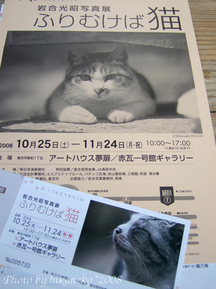 DSCF6097_岩合光昭攝影展的門票和展覽DM.jpg DSCF6097_岩合光昭攝影展的門票和展覽DM.jpg