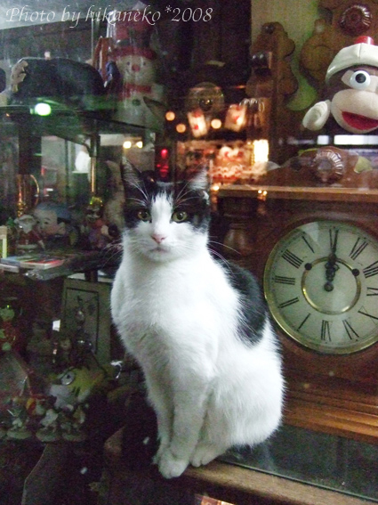 DSCF6370_醒了,還是一號表情.jpg DSCF6370_醒了,還是一號表情.jpg