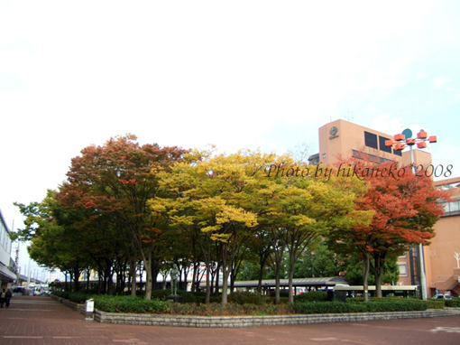 DSCF6423_雖然不是紅葉,但看了也心情大好!.jpg DSCF6423_雖然不是紅葉,但看了也心情大好!.jpg