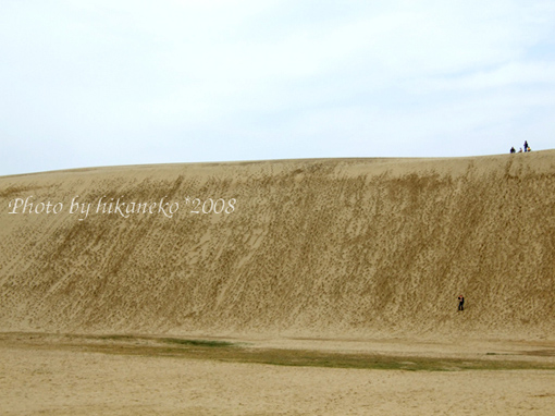 DSCF6435_比較佩服選擇從這邊爬到頂端的遊客，踩在沙子後的重力更辛苦吧？.jpg